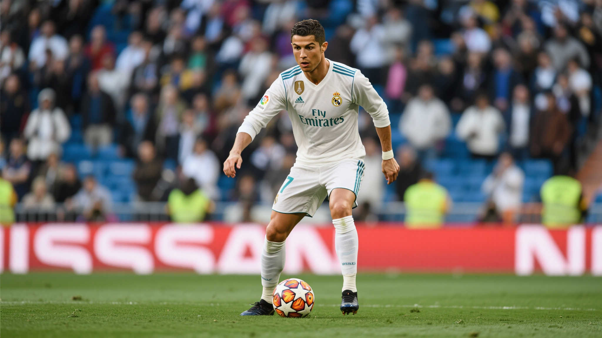 MK体育平台介绍